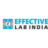 Effective Lab India