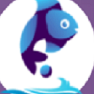 Web Development Company  By Fish Eye Advertising