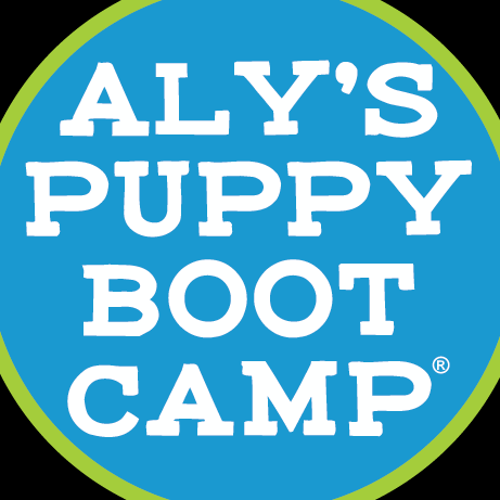 Alyspuppy Boot Camp